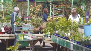 Garden centre customers